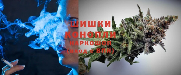 стаф Верея
